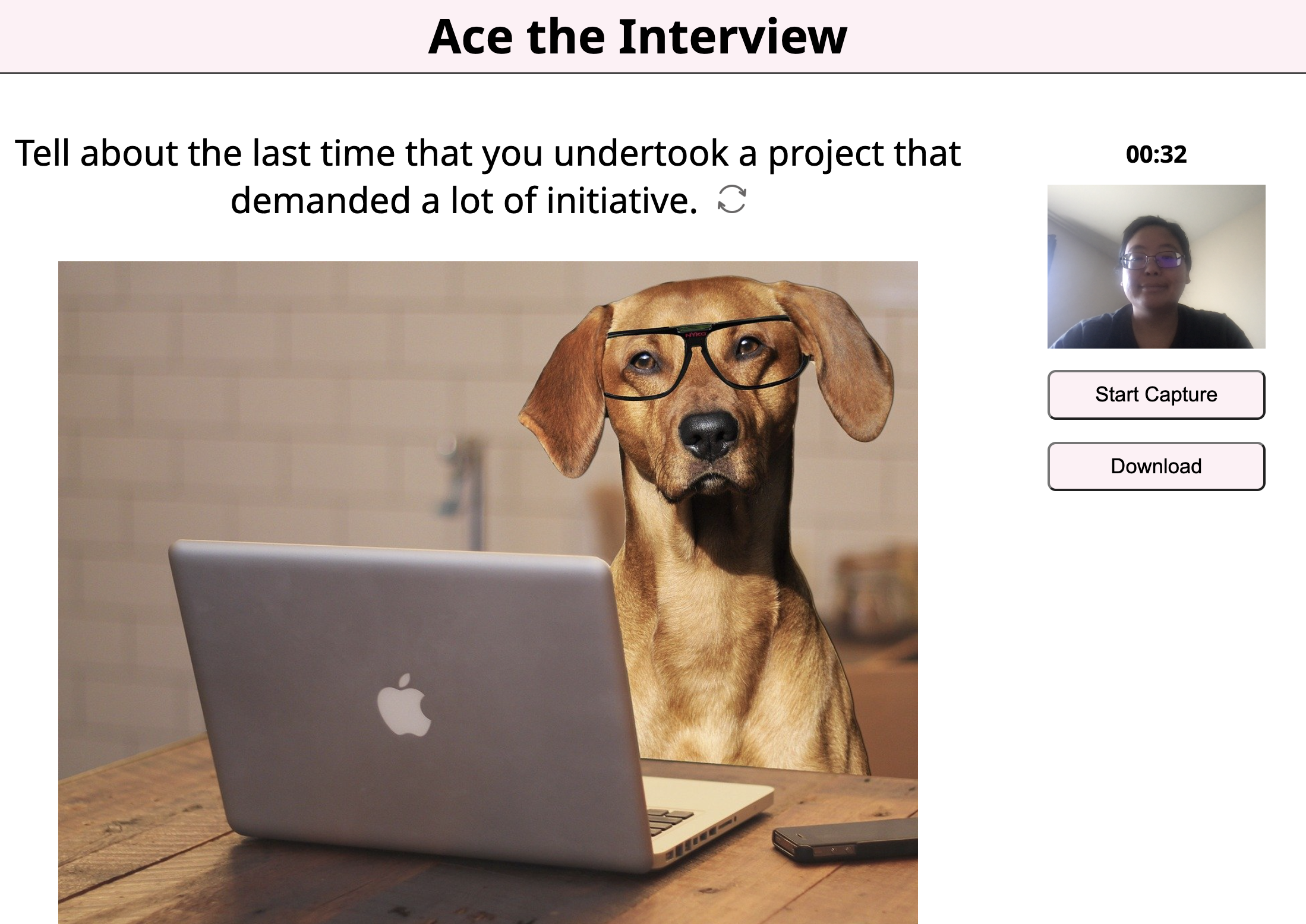 screenshot of the Ace the Interview site